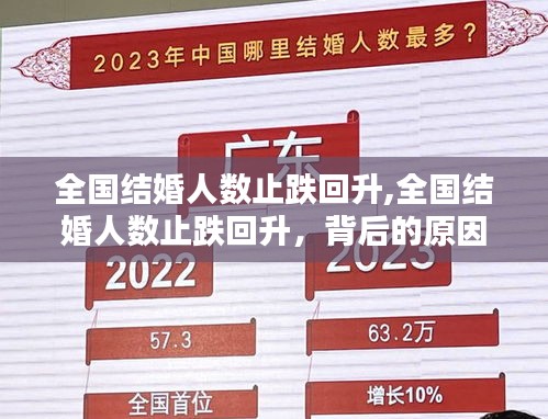 第2113頁