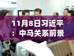 11月8日習近平：中馬關(guān)系前景光明 未來可期，11月8日習近平主席談中馬關(guān)系，未來光明，前景可期