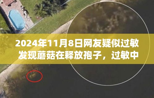 第2112頁