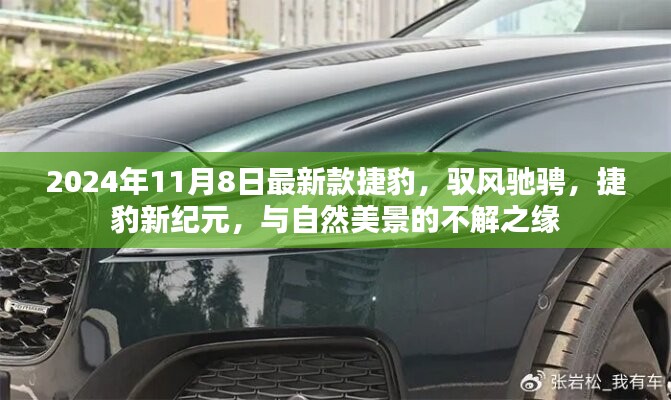 政策法規(guī) 第215頁