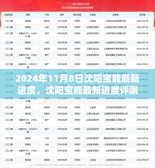 沈陽寶能最新進(jìn)度深度解析，產(chǎn)品特性與用戶體驗評測報告