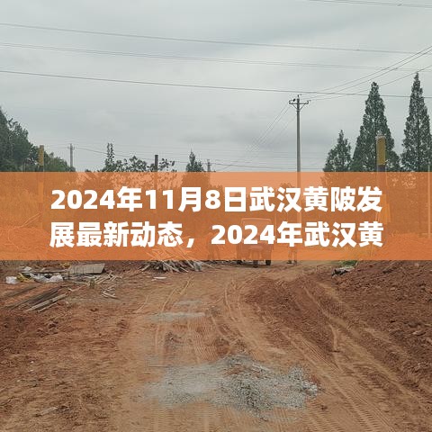 2024年武漢黃陂發(fā)展最新動(dòng)態(tài)探索，融入?yún)^(qū)域發(fā)展大潮的步伐