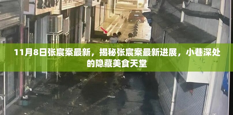 揭秘張宸案最新進(jìn)展，小巷深處的美食天堂揭秘探秘張宸案最新動態(tài)