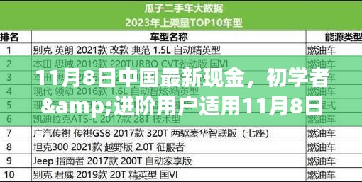 初學(xué)者與進(jìn)階用戶指南，11月8日中國最新現(xiàn)金操作指南及任務(wù)完成步驟詳解