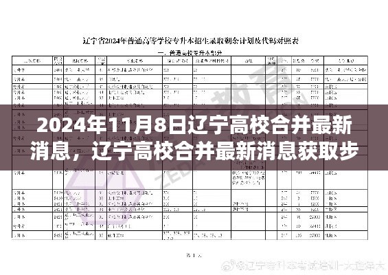 遼寧高校合并最新消息獲取指南，初學(xué)者與進(jìn)階用戶適用，2024年高校合并最新動(dòng)態(tài)揭秘