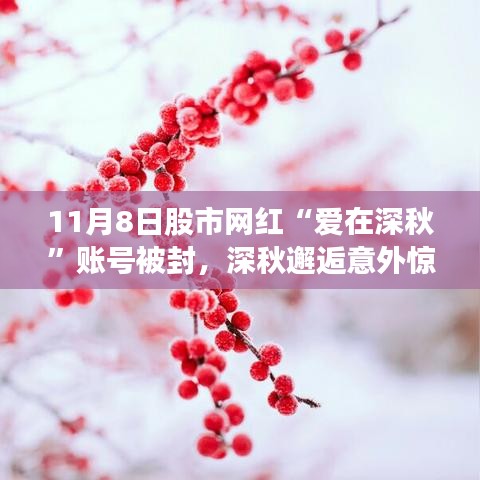 愛在深秋股市網(wǎng)紅賬號被封，與隱秘小巷特色小店深秋邂逅的意外驚喜
