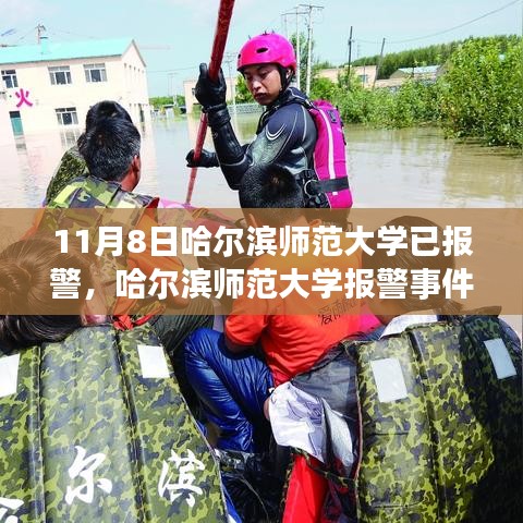 哈爾濱師范大學報警事件，背后的真相與是非探討