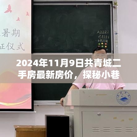 2024年共青城二手房最新房價揭秘，小巷特色小店探秘
