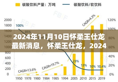 懷柔王仕龍最新動態(tài)與深遠影響力揭曉，2024年11月10日更新