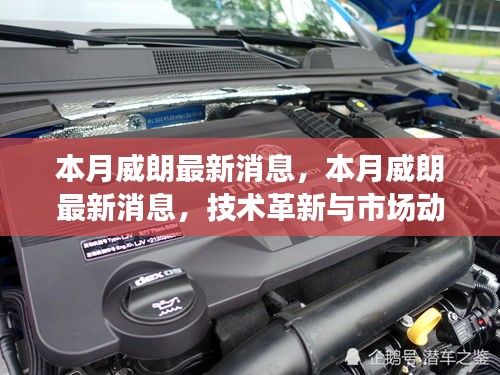 本月威朗最新動態(tài)，技術(shù)革新與市場趨勢同步更新