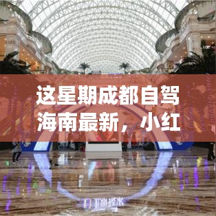 小紅書(shū)爆款！成都自駕海南極致之旅最新攻略來(lái)襲
