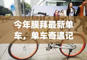 今年膜拜最新單車，溫情之旅的奇遇記