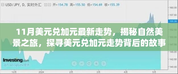 揭秘美元兌加元走勢(shì)背后的故事，自然美景之旅啟程，探尋內(nèi)心的寧?kù)o與平和之旅