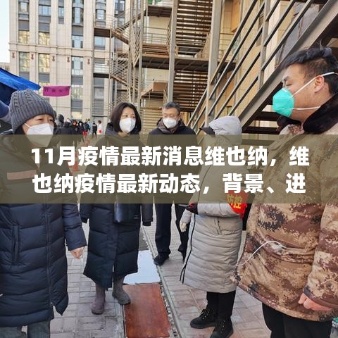 維也納疫情最新動態(tài)，背景、進(jìn)展與影響概述