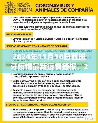 西班牙疫情最新播報解讀指南，2024年11月10日最新播報與解讀