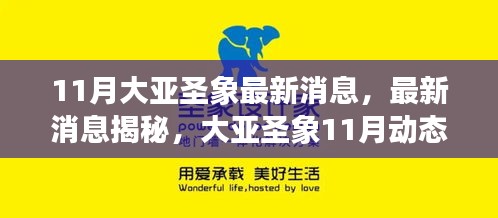 大亞圣象11月最新動(dòng)態(tài)揭秘，任務(wù)指南與技能學(xué)習(xí)全攻略發(fā)布