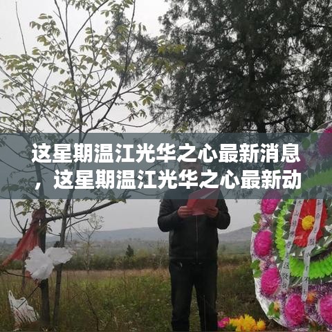 溫江光華之心最新動(dòng)態(tài)及消息，一站式獲取信息的全面指南