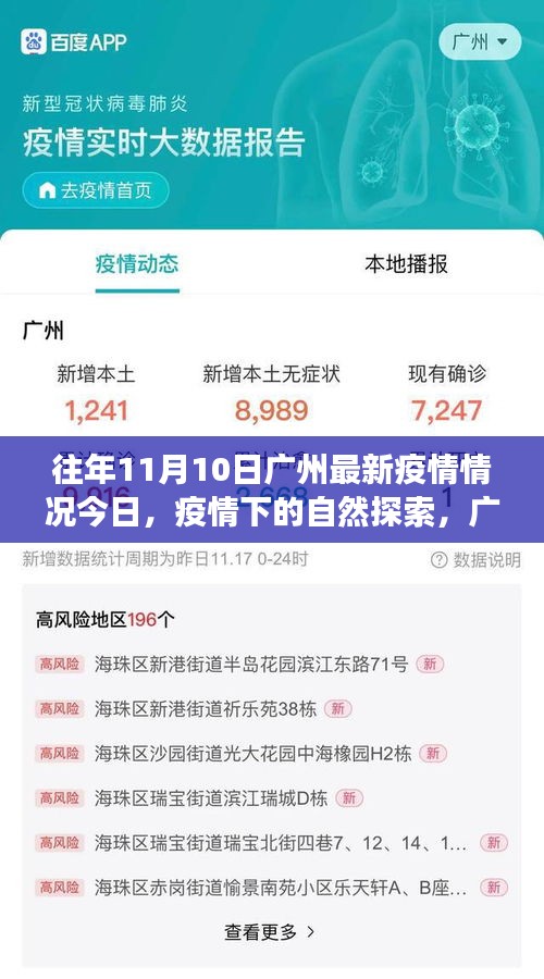 往年11月10日廣州疫情更新，疫情下的自然探索與寧?kù)o美景之旅