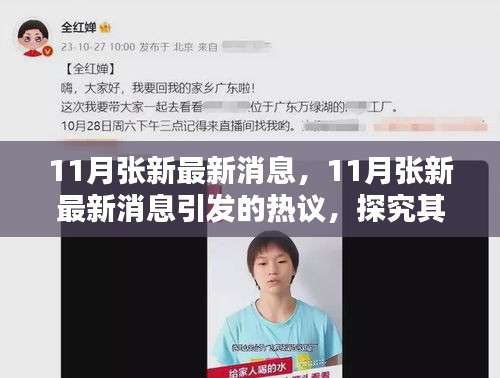 11月張新最新消息引熱議，探究背后的影響與觀點分歧