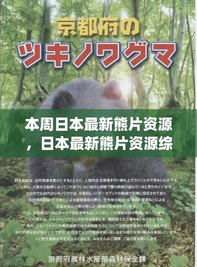 日本最新熊片資源綜述，背景、進(jìn)展與特定領(lǐng)域地位探討