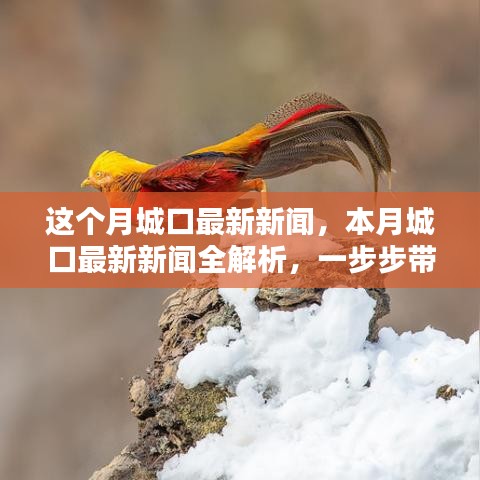 本月城口最新新聞解析，掌握獲取新聞資訊的技能