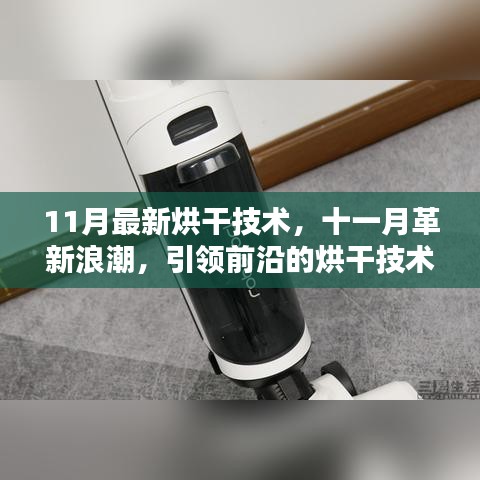 揭秘十一月最新烘干技術(shù)革新，前沿浪潮引領(lǐng)行業(yè)探秘