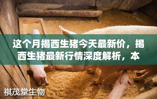 揭西生豬最新行情深度解析，本月市場(chǎng)動(dòng)態(tài)、競(jìng)品對(duì)比及價(jià)格走勢(shì)揭秘