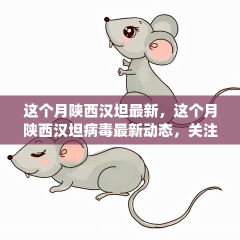 陜西漢坦病毒最新動(dòng)態(tài)，關(guān)注疫情進(jìn)展，共筑健康防線