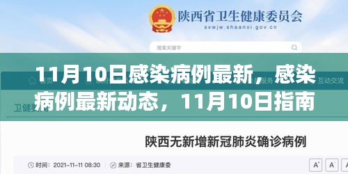 11月10日感染病例最新動(dòng)態(tài)，獲取準(zhǔn)確信息及應(yīng)對(duì)技能的指南