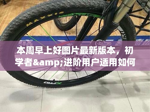 最新早上好圖片問候版獲取與使用指南，適合初學(xué)者與進階用戶