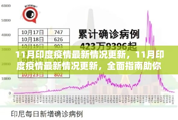 全面指南，了解并應(yīng)對(duì)印度疫情最新情況更新