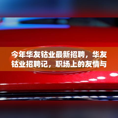 華友鈷業(yè)最新招聘探秘，職場(chǎng)友情與家的溫馨融合