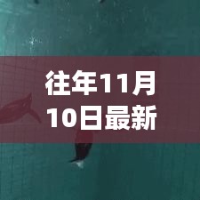 十一月十日，與聲波的奇妙遨游