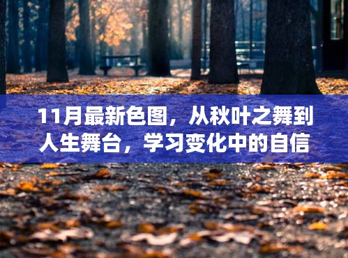 11月新色彩繪人生，從秋葉之舞到自信成就的舞臺(tái)