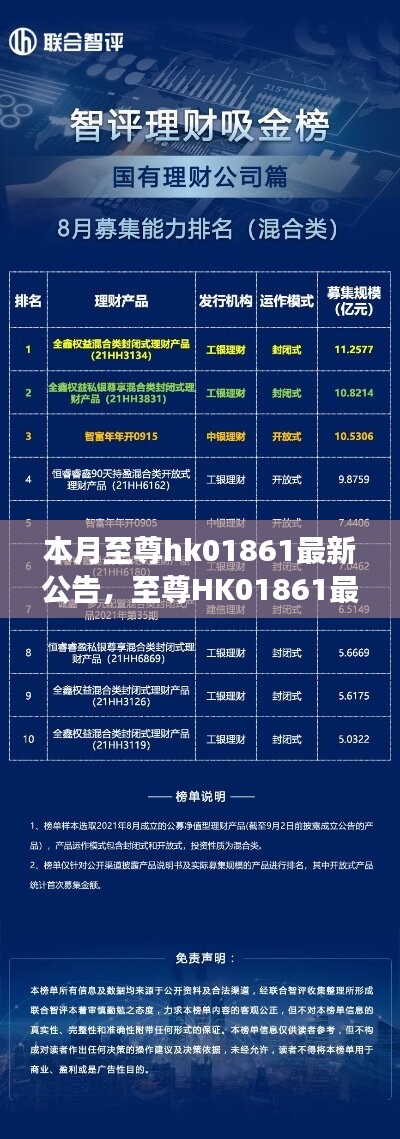 至尊HK01861最新公告揭秘，背景、重大事件與領(lǐng)域地位的回顧與展望