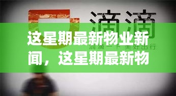最新物業(yè)新聞一周概覽，全面解讀物業(yè)領(lǐng)域最新動態(tài)