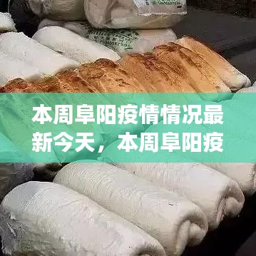 本周阜陽(yáng)疫情最新動(dòng)態(tài)，今日疫情分析、防控成效與多方觀點(diǎn)聚焦