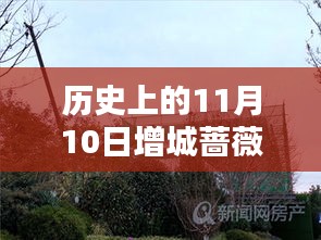 歷史上的11月10日增城薔薇國際房價揭秘，最新價格一覽表！