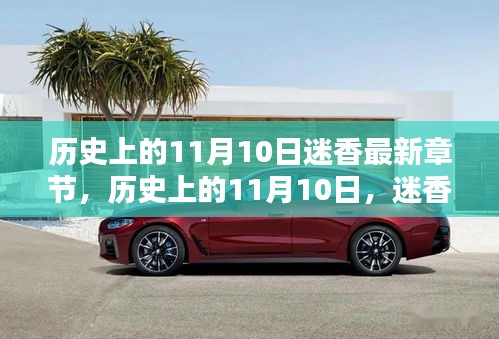 歷史上的11月10日迷香揭秘，最新章節(jié)一覽