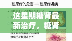 糖腎最新治療進(jìn)展，本周小糖治愈周記，糖腎之光照亮希望之路