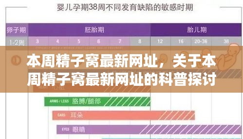 本周精子窩最新網(wǎng)址科普探討，涉及違法犯罪問題