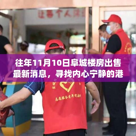 阜城樓房最新出售消息，尋找心靈寧?kù)o的自然探索之旅