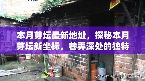探秘本月芽壇新坐標(biāo)，巷弄深處的獨(dú)特小店最新地址揭秘