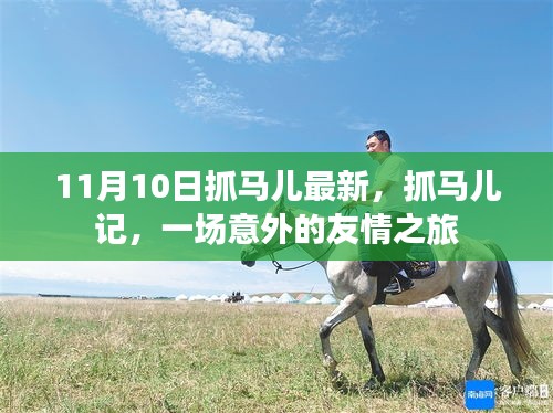 意外友情之旅，抓馬兒記最新報道