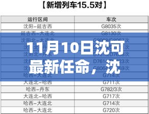 沈可新任命的背后，背景、影響與時(shí)代地位分析（最新更新）