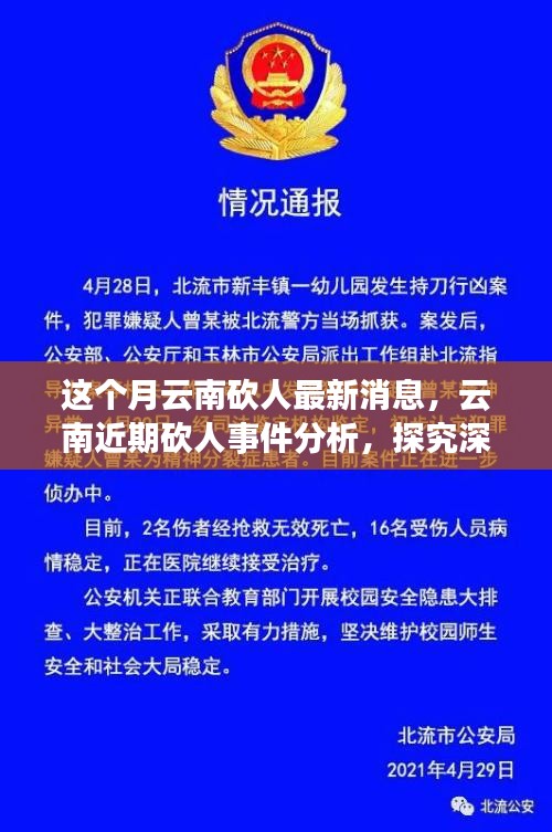 云南砍人事件最新消息，深層原因探究與各方觀點分析