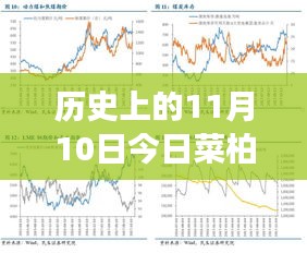 歷史上的11月10日，菜柏價(jià)格背后的勵(lì)志故事與最新行情，自信成就感的源泉