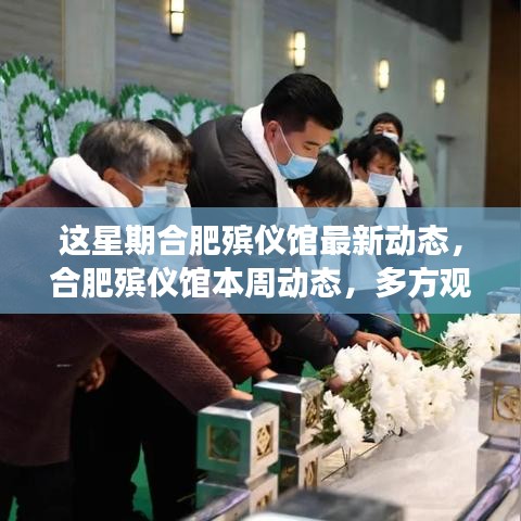 合肥殯儀館本周多方觀點深度解讀，最新動態(tài)與探討