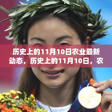 歷史上的11月10日農(nóng)業(yè)之旅，探尋自然美景，開啟內(nèi)心平靜的力量新篇章