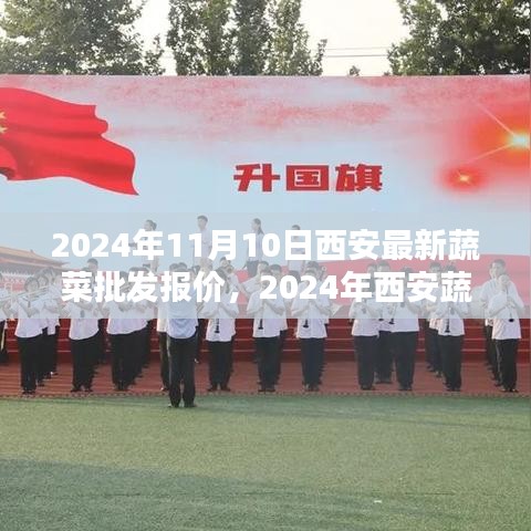 2024年西安蔬菜批發(fā)報(bào)價(jià)指南，獲取最新報(bào)價(jià)全攻略